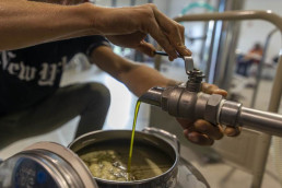 Frantoio Brignoni - Frantoio olive molitura e lavorazione olio a Corinaldo
