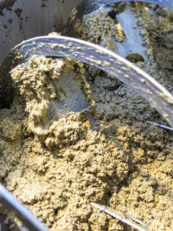 Frantoio Brignoni - Frantoio olive molitura e lavorazione olio a Corinaldo (6)